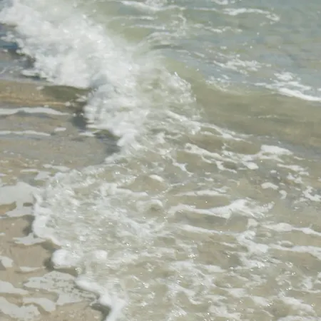 2 Sea C 23 *